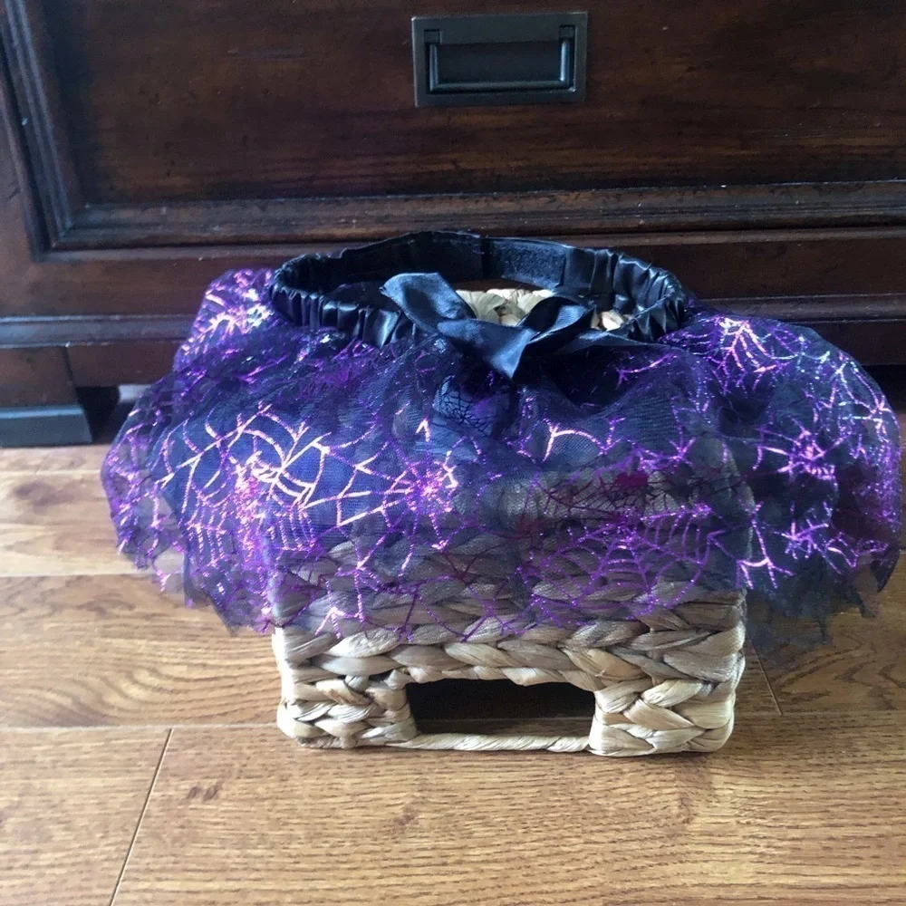 Martha Stewart purple Halloween witch costume for pets in size L/XL